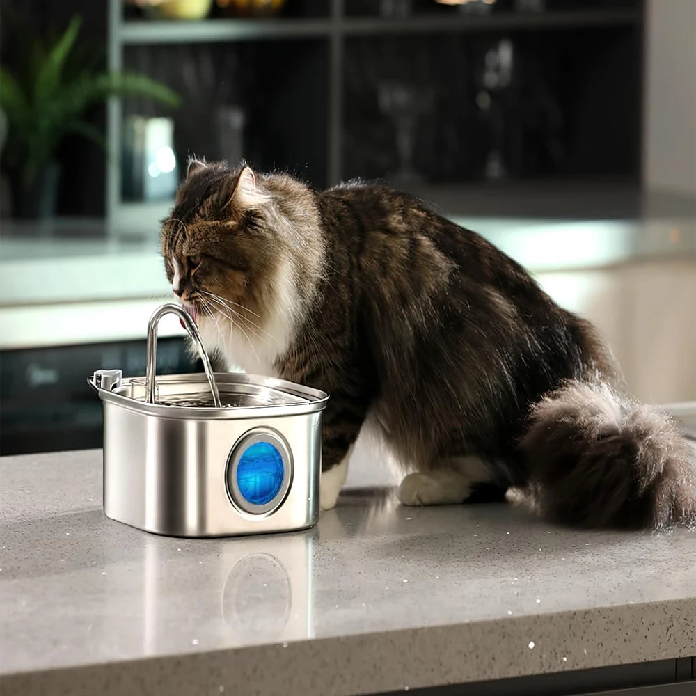 Fuente de acero inoxidable 3,2L para gatos · Cativa